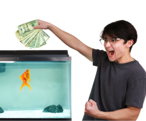 Michael Reeves goldfish: hela storyn